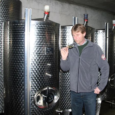 Ferienweingut Hensler 호텔 브리에델 외부 사진