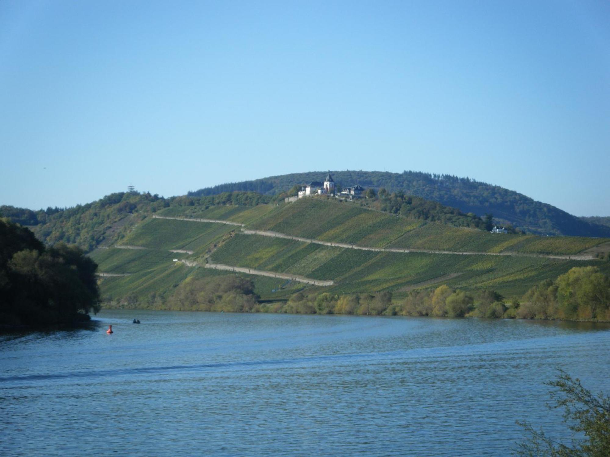 Ferienweingut Hensler 호텔 브리에델 외부 사진